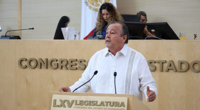 Formula iniciativa para incluir definición de violencia a través de interpósita persona