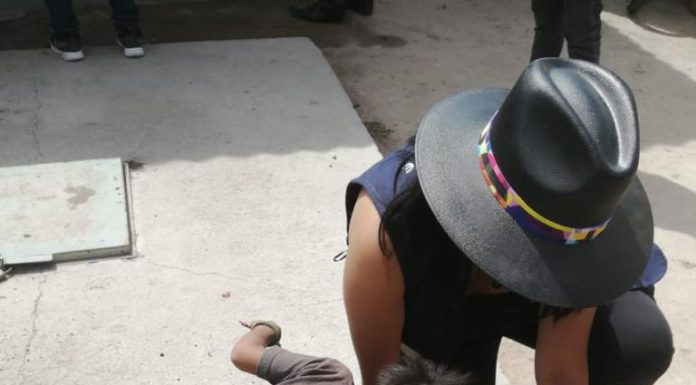 Realizan acciones de reforestación y limpieza en Centro de Desarrollo Indígena