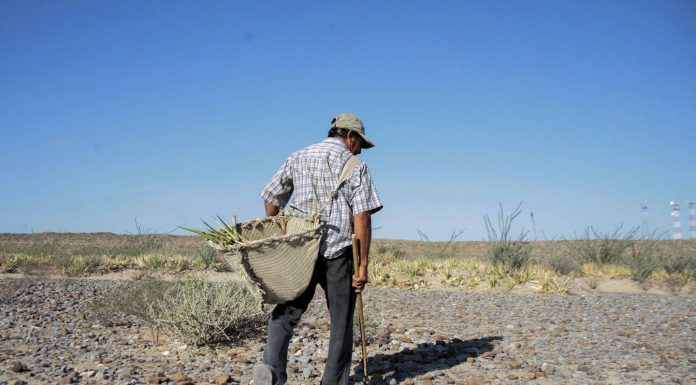 Empresarios no están preparados para estiaje: AMEXME