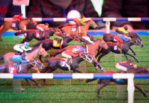 Acorta distancia Morena frente al PAN: Massive Caller