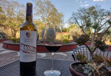 Guanajuato celebra con las vendimias 2025