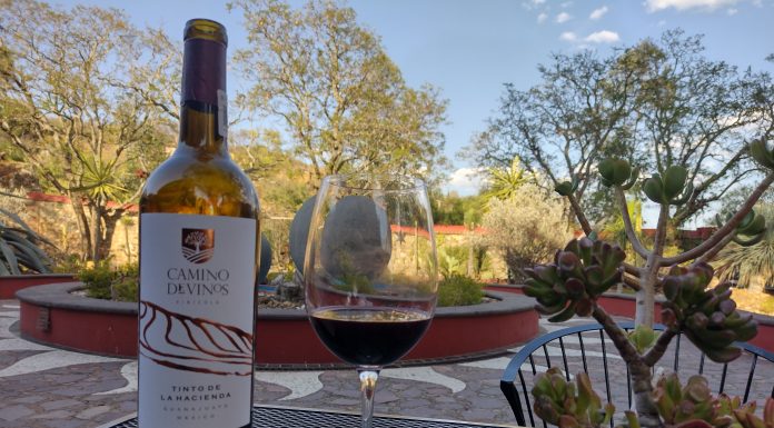 Guanajuato celebra con las vendimias 2025