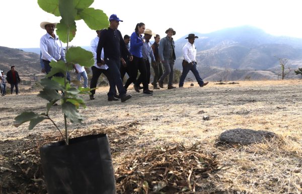 LEÓN | Inicia reforestación con más de 3 mil árboles