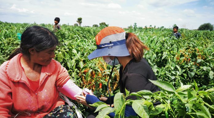 Fortalece Guanajuato salud de migrantes