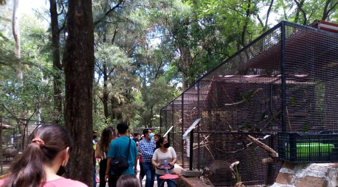 Con Pase Verde han ingresado al ZooLeón más de 151 mil personas