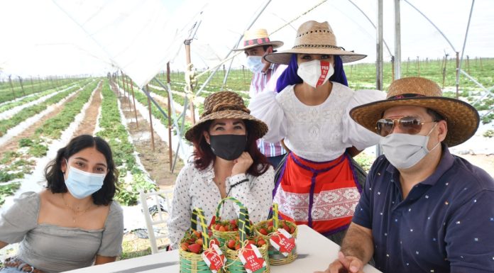 Capacitan a locatarios del centro histórico en Irapuato