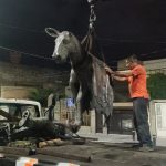 WhatsApp Image 2022-07-04 at 11.06.55 PM