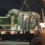 WhatsApp Image 2022-07-04 at 11.11.28 PM