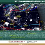 463_img_int_20_ago_2022_06h_6300bc1bdf454