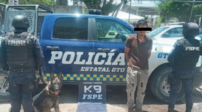 Detiene perro oficial Teo de la Unidad Canina K9 de las FSPE a hombre con estupefacientes