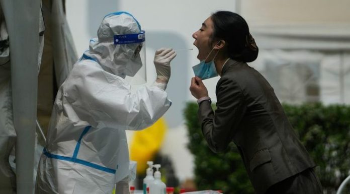 Detectan en China nuevo virus de origen animal