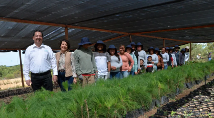 En alianza con VW, Gobierno del Estado crea nuevos ecosistemas en el ANP Cuenca de la Esperanza