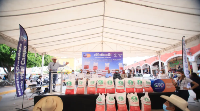 Apoya SDAyR al campo de Juventino con segunda entrega de fertilizante