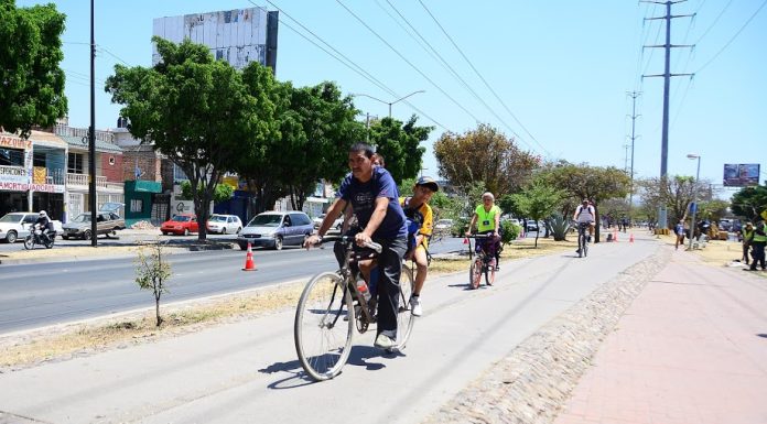 LEÓN | En pausa nueva ciclovía en López Mateos