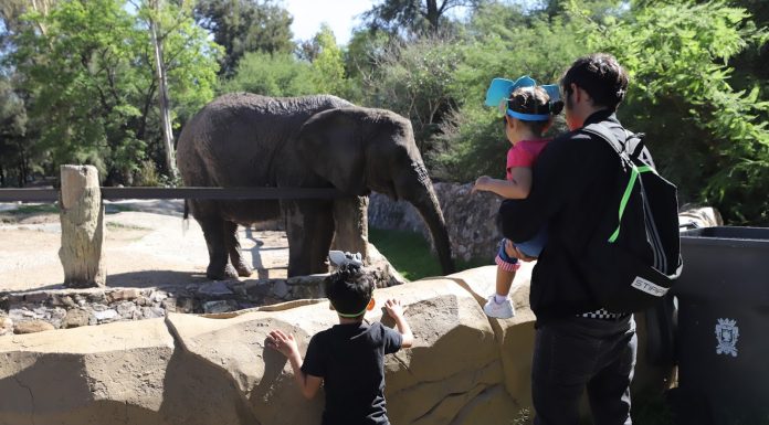 Conviven más familias de zona urbana y rural gracias a pase verde