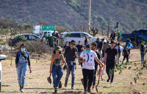 LEÓN | Reforestan Sierra de Lobos con más de 9 mil árboles