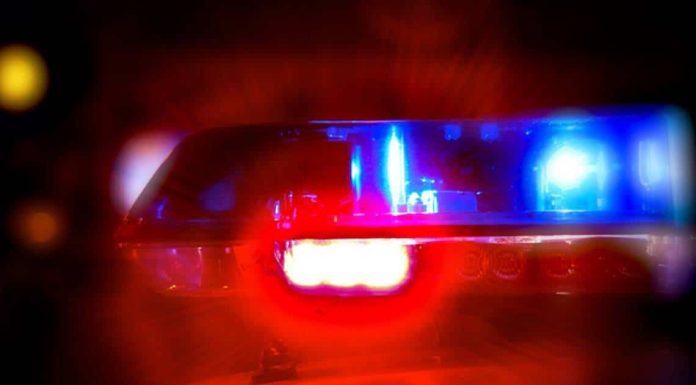 CELAYA | Reportan 8 muertos y 5 heridos tras ataque a bar