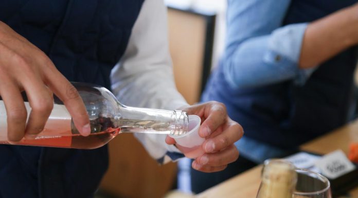 Viñedos de Guanajuato se reúnen en la 6ta. edición “Mientras tanto un vino”