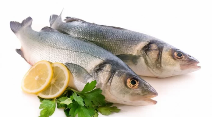 El Sistema de Salud Gto reforzó la supervisión de los alimentos que consume la población