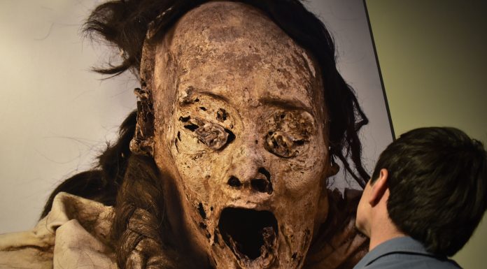 Fotografías de Momias de Guanajuato y del mundo llegan al Parque Guanajuato Bicentenario durante el #FIC50