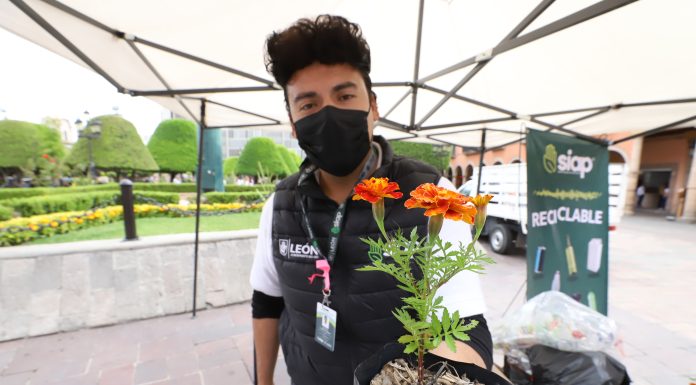Embellecen León con flores de cempasúchil