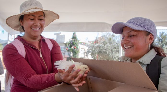 San Miguel de Allende | Gobierno municipal fortalece la economía familiar