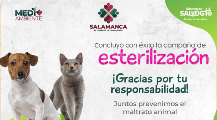 Concluye con éxito campaña de esterilización canina y felina en Salamanca