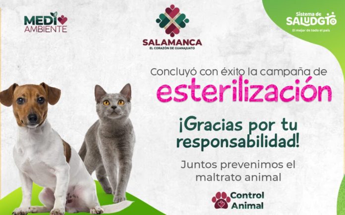 Campana-de-Esterilizacion-Salamanca-1024x640
