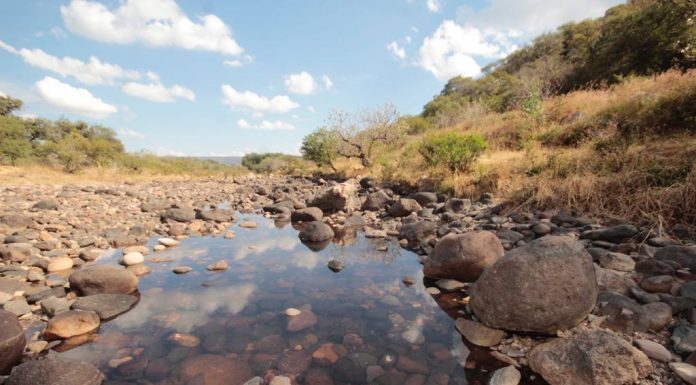 SALAMANCA | Prioriza Gobierno Municipal la Protección de Áreas Naturales
