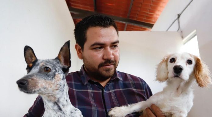 SALAMANCA | Gobierno municipal promueve el cuidado de los animales