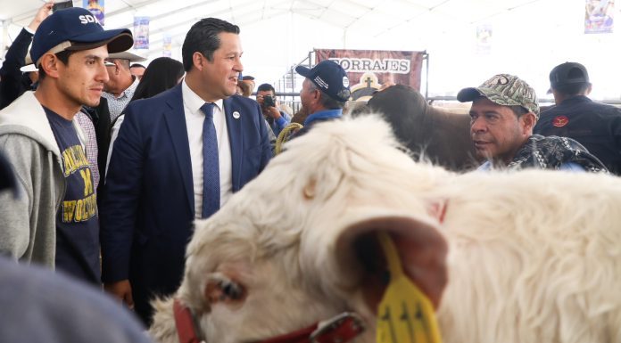 Innovan producción ganaderos de Guanajuato