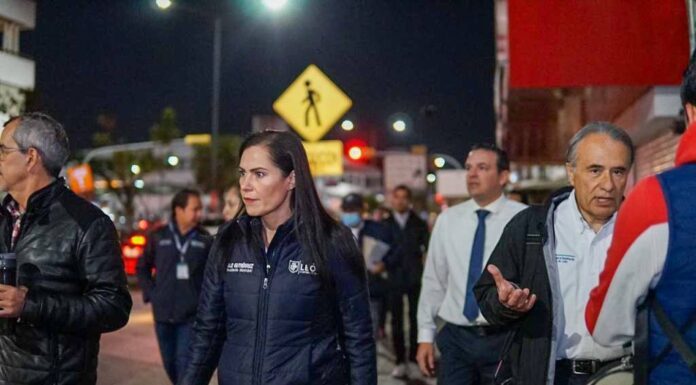 LEÓN | Emprenden operativo para ordenar Zona Piel