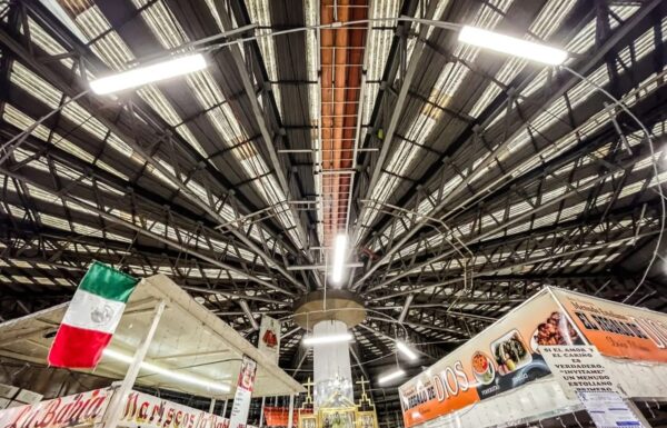 SAN FRANCISCO | Rehabilitan alumbrado en mercado Luis H. Ducoing