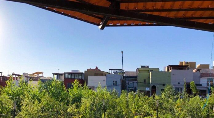 SAN MIGUEL | Bosques urbanos resctarán áreas verdes a favor de la ciudadanía