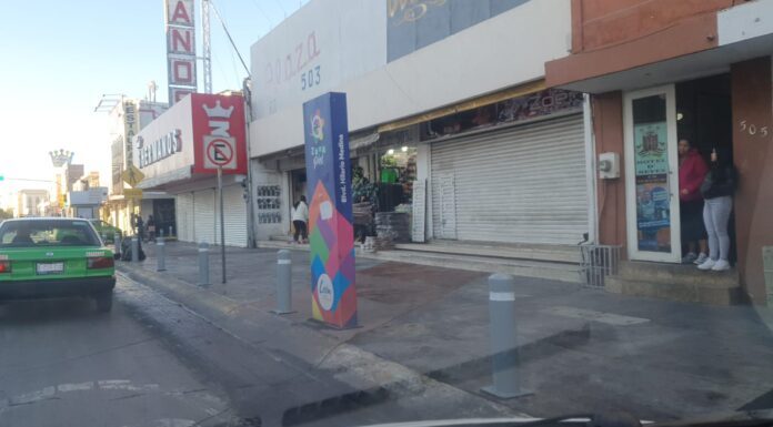 LEÓN | Realiza Fiscalización y Control 860 intervenciones en Zona Piel