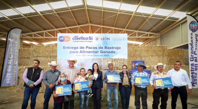 LEÓN | Entregan pacas de alimento a 58 ganaderos