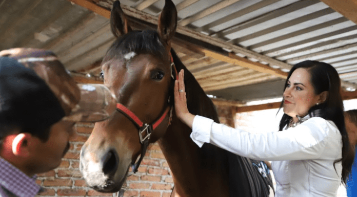 LEÓN | Avanza el Programa de equipamiento para Reconverción Comercial