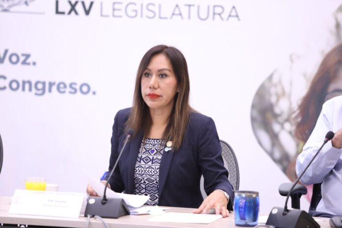 Dip Susana Bermúdez
