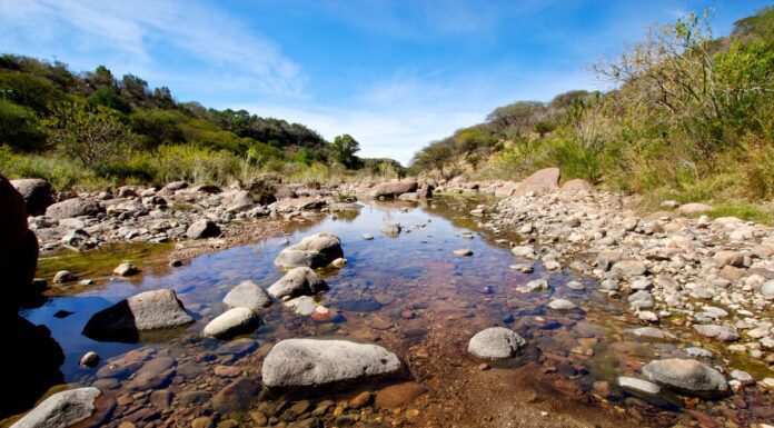 SALAMANCA| Gobierno municipal preserva las Áreas Naturales Protegidas