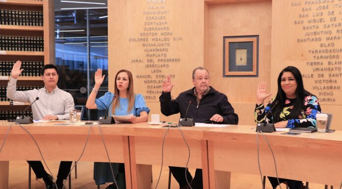 Toman acuerdos sobre el desarrollo de la consulta a niñas, niños y adolescentes