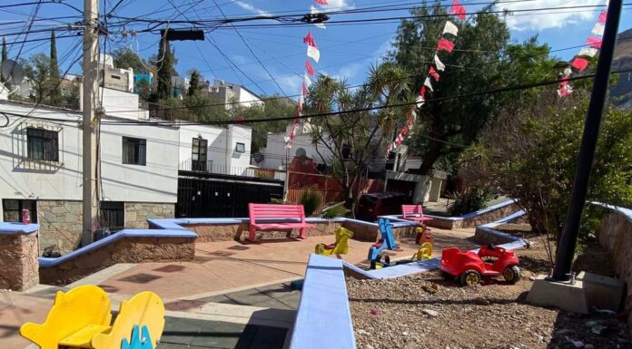 CAPITAL | Dan manita de gato a 3 mil metros con pintura nueva a la ciudad