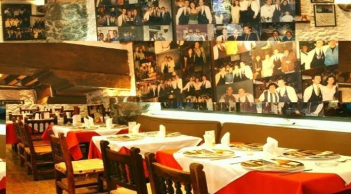 Grupo SynerGo y su exitosa estrategia de alimentos