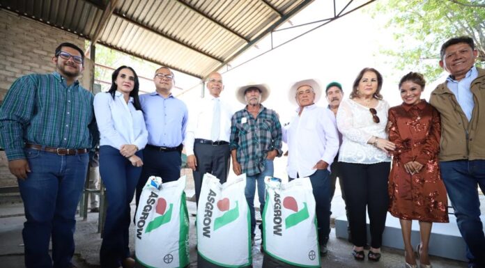 CELAYA | Entregan insumos agrícolas a productores de riego de maíz y sorgo