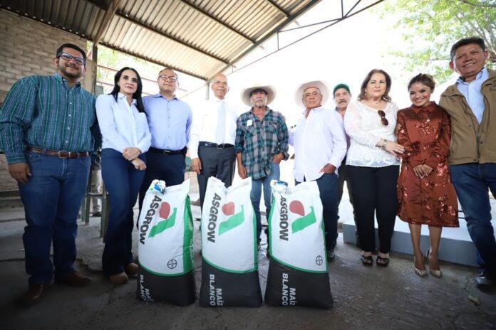 WhatsApp Image 2023-03-13 at 4.22.06 PM (1)