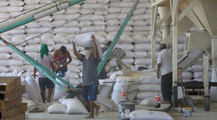 Detienen en Guanajuato a implicado por millonario frande en Segalmex