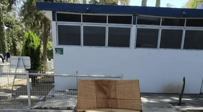 Denuncia FURA falta de supervisión experta ante tala de árboles en Cetis 21