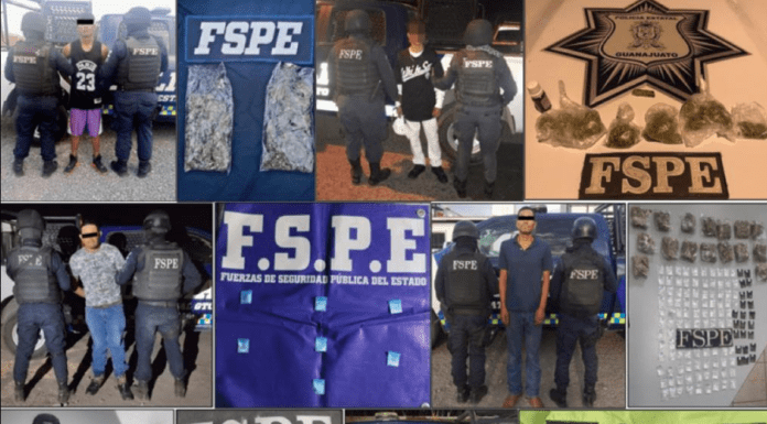 En una semana, el Operativo Guanajuato Seguro, decomisó más de 42 mil dosis de drogas