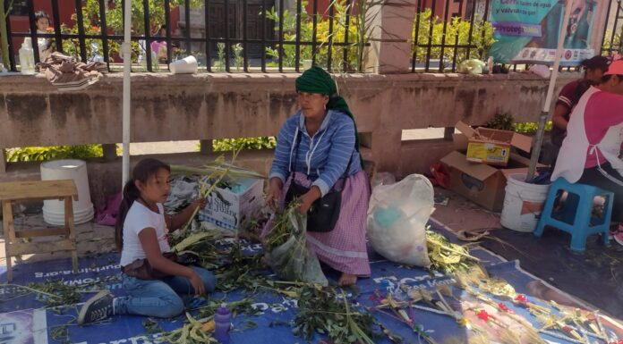 Reciben miles en familia al Domingo de Ramos