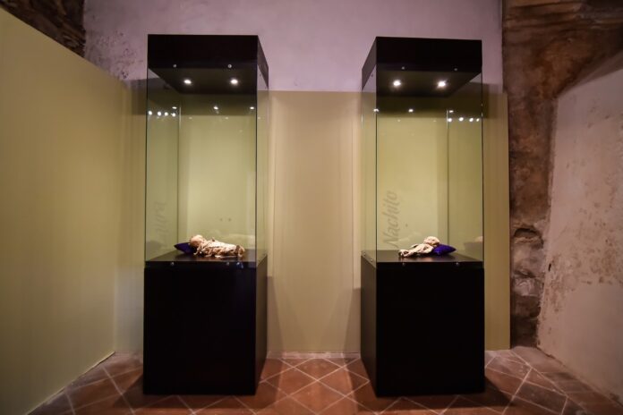 WhatsApp Image 2023-04-04 at 10.48.22 AM (1)