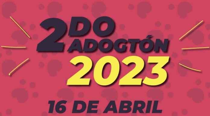 Promueven crianza responsable de mascotas con segundo “Adogtón”